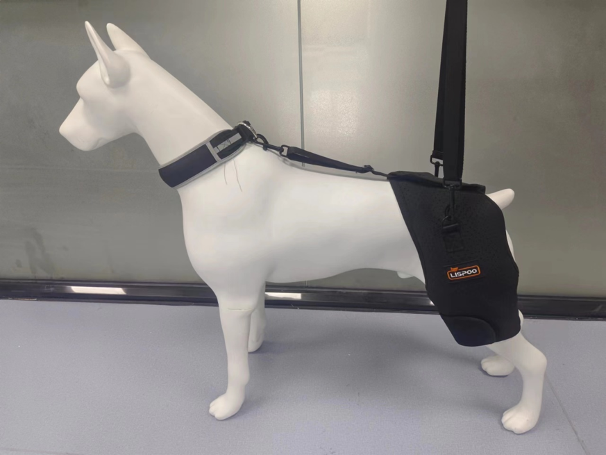 Hip Dysplasia Brace for Dobermans