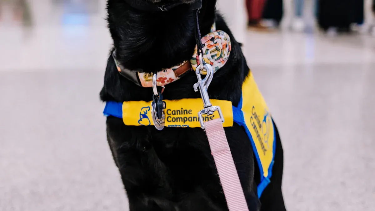 Using Harnesses to Support Joint Health