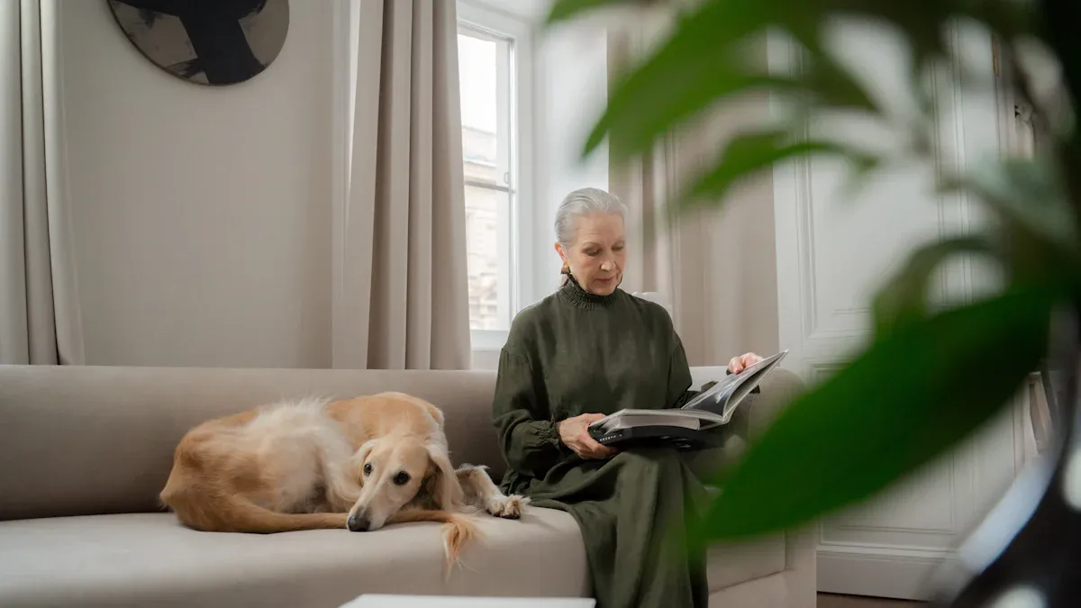 Home safety for canine hip dysplasia