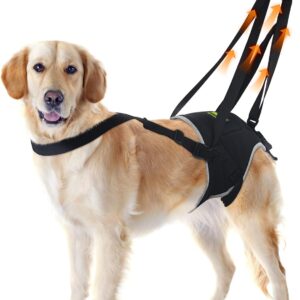 Thigh lift suspenders