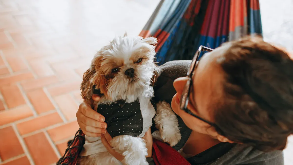 Fitting a No-Knuckling Brace for Dogs: Step-by-Step