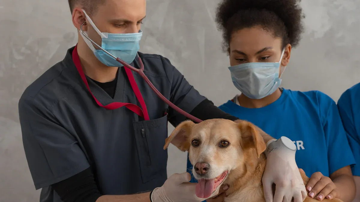 Supplier Qualification Checklist for Rehab Brace Wholesale