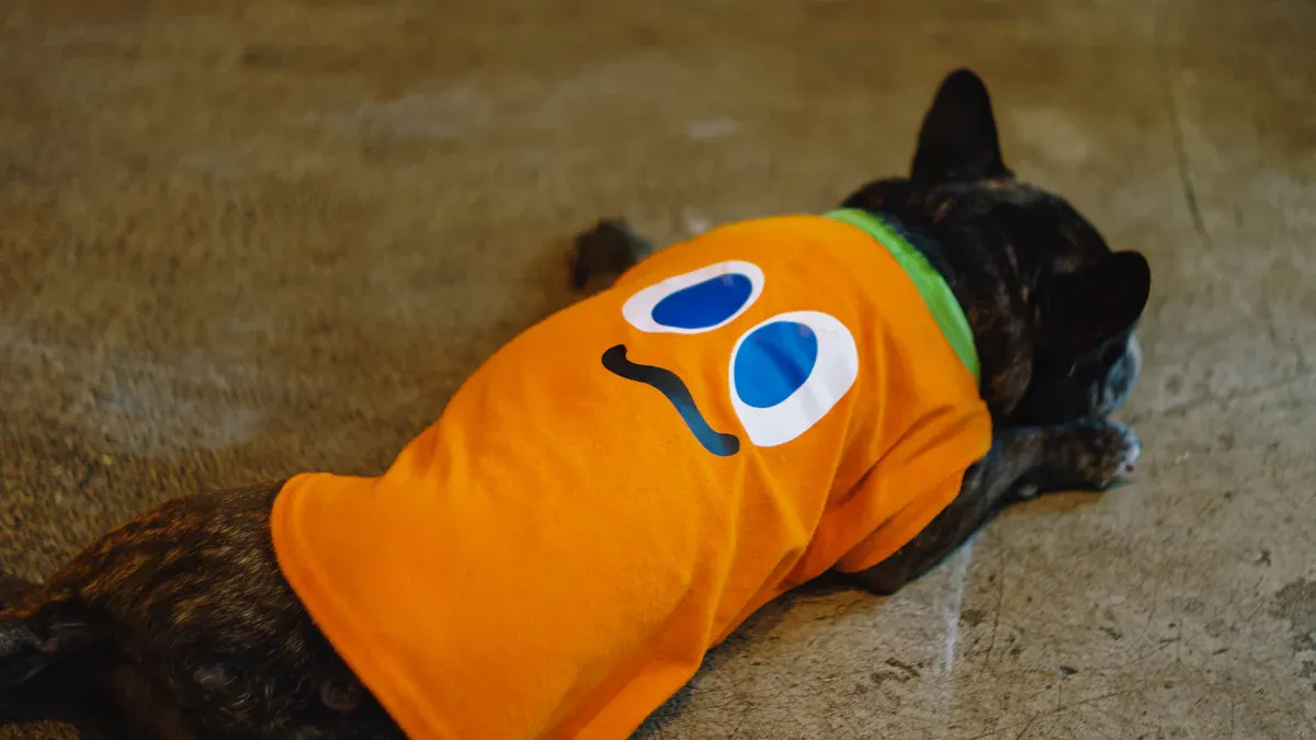 Gear options to stop dogs from licking stitches