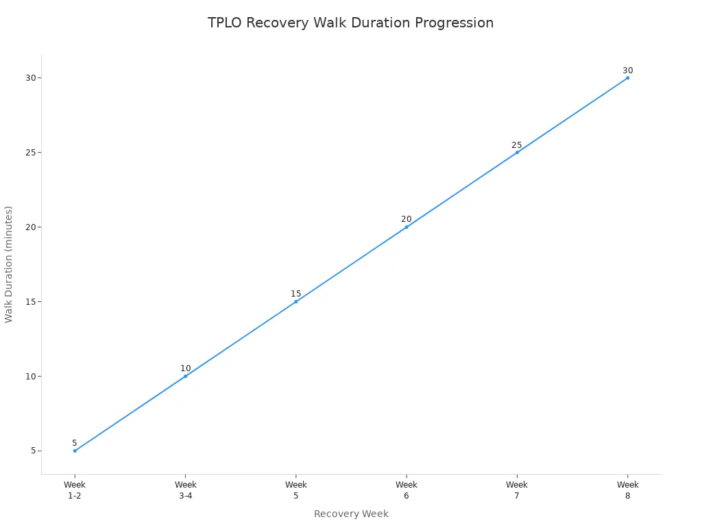 Line chart showing walk duration per day increasing each week during TPLO recovery