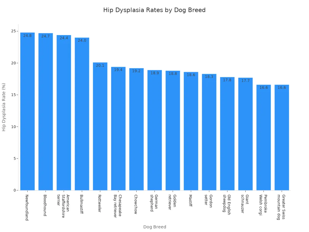 Bar chart comparing hip dysplasia rates across dog breeds