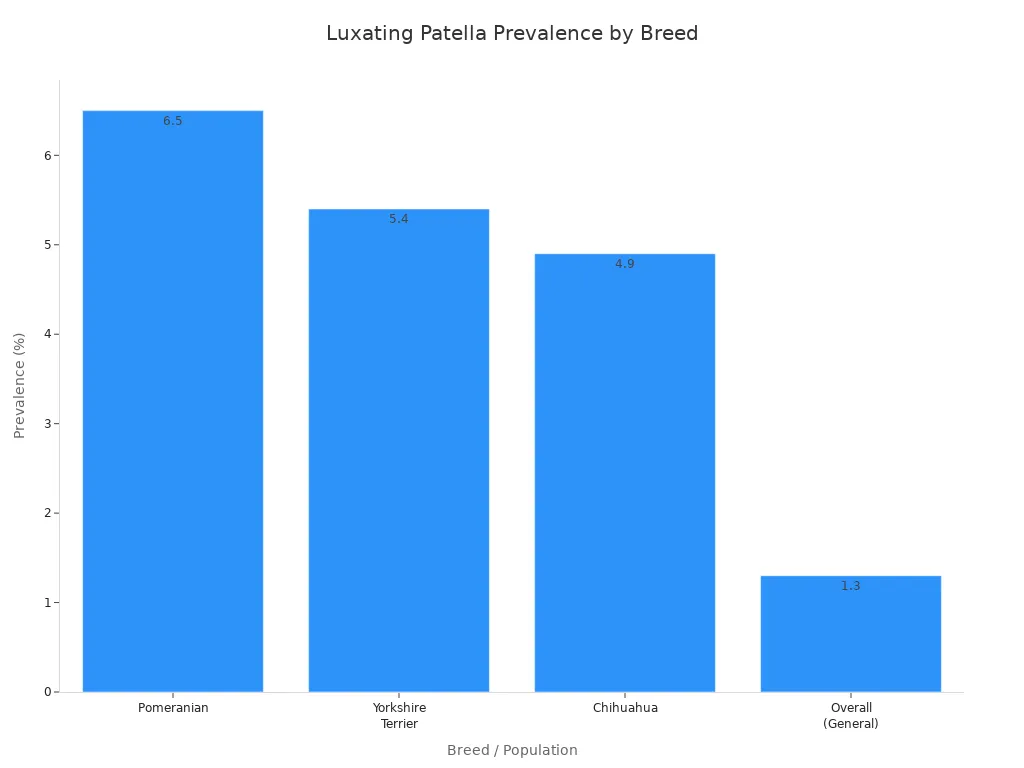 Bar chart comparing luxating patella prevalence in three dog breeds and the general population