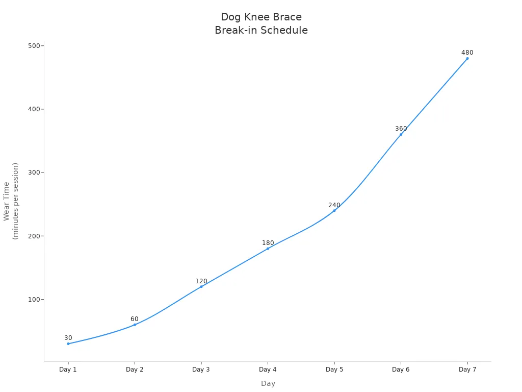 Line chart showing recommended daily increase in dog knee brace wear time