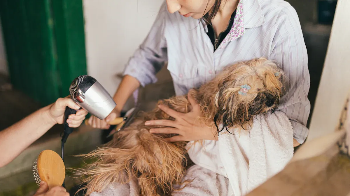 Traction and paw protection for IVDD dogs