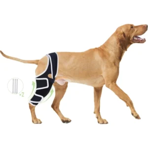 Dog Hind Leg Knee Pads