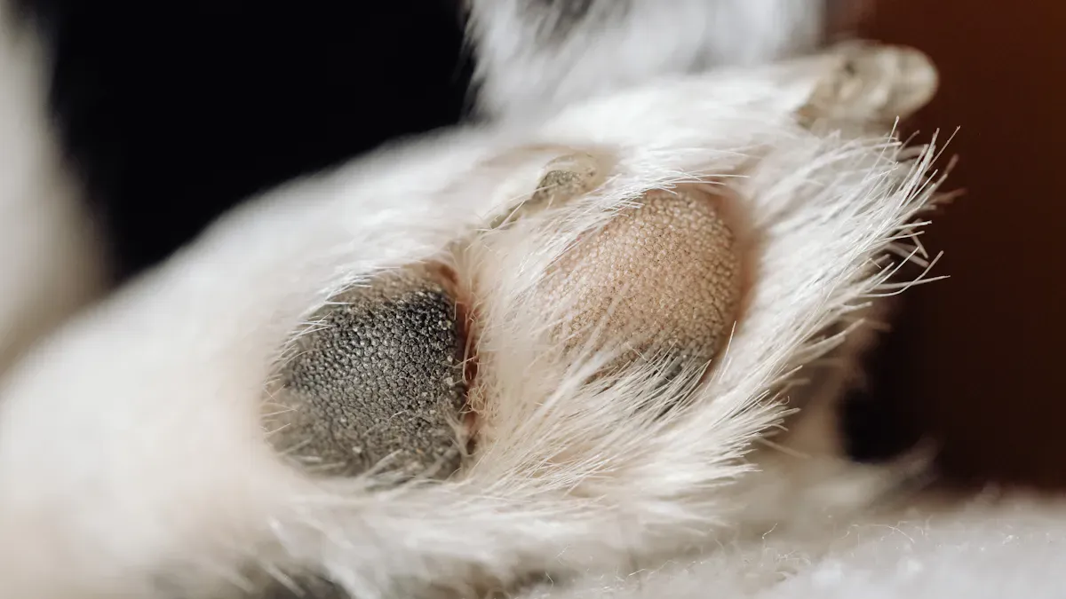 Fitting and Positioning a Toe-Up Brace