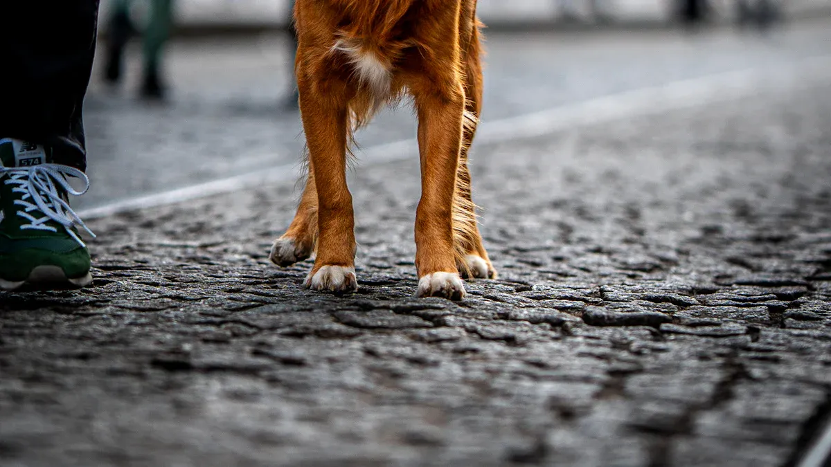 Everyday Use and Support