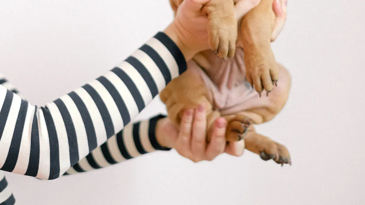 Using and Caring for Dog Leg Sleeves