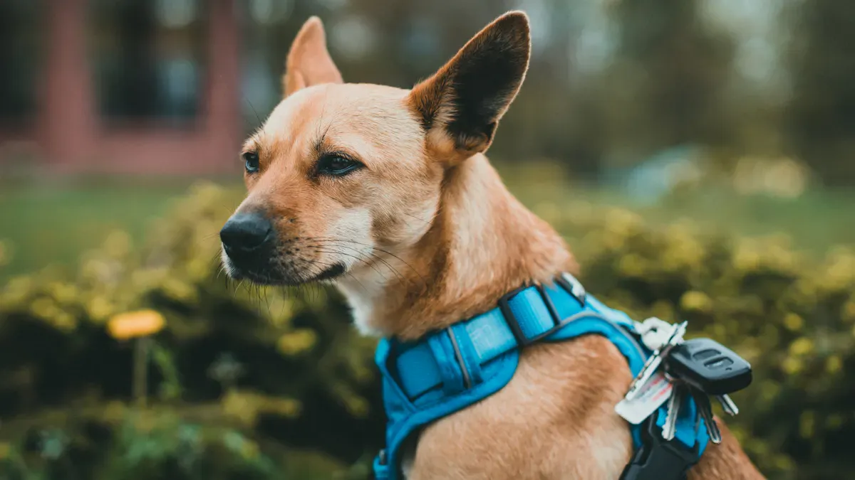 Types of Dog Lift Harnesses for Mobility Support