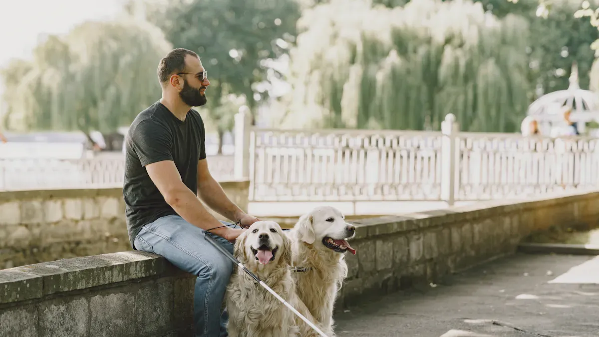 How to Choose the Right Dog Rear Leg Brace