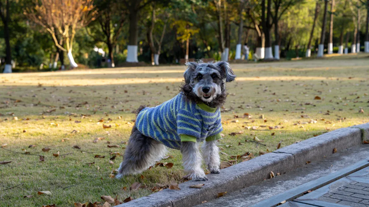 How a Torn ACL Dog Brace Helps