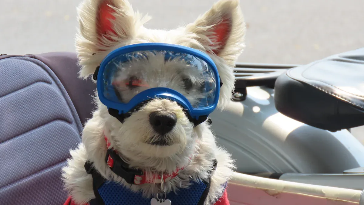 Main Types of Head and Face Protection for Dogs