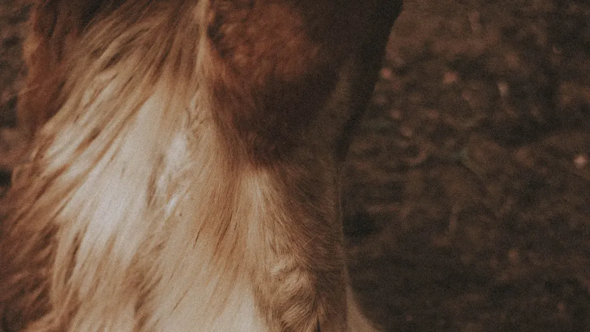 Understanding Knuckling and Paw Dragging