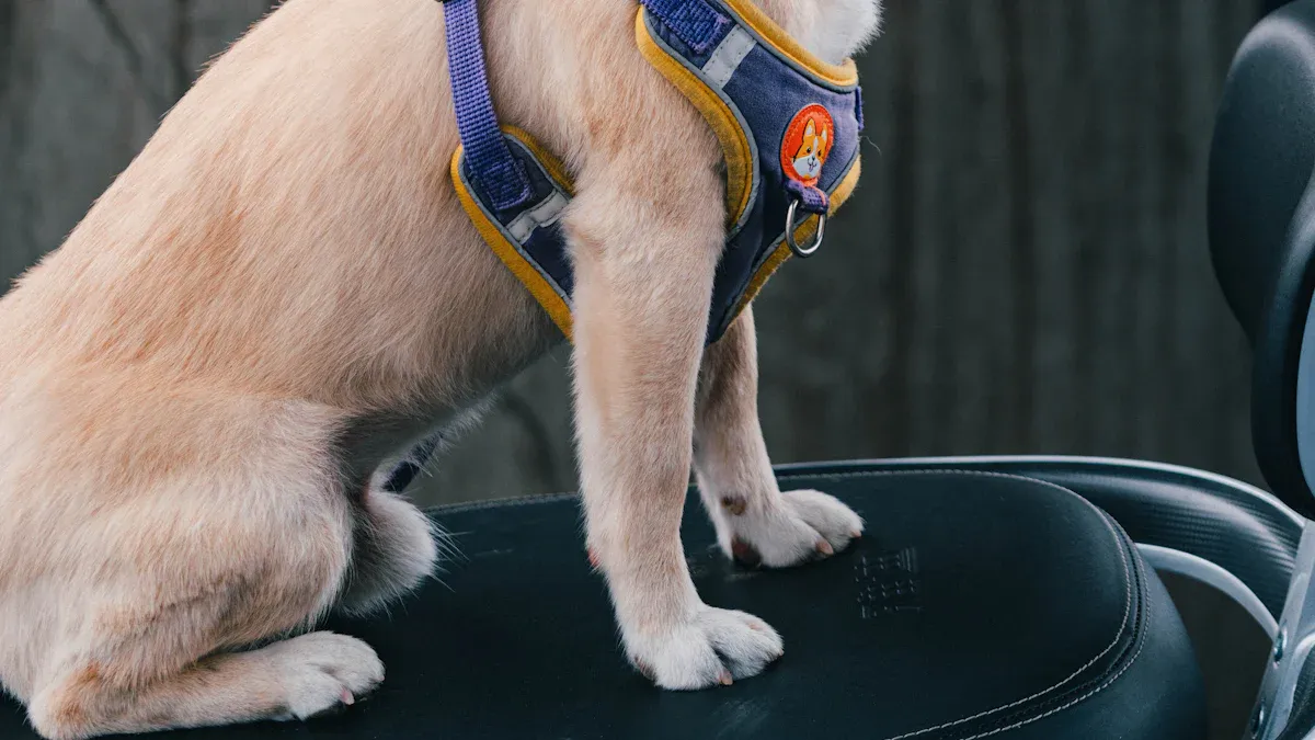Measuring and Fitting the Harness