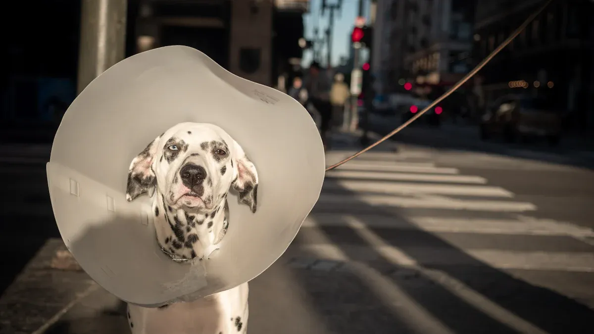 Fitting and Positioning for Support