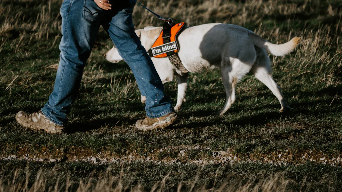 Measuring and Fitting