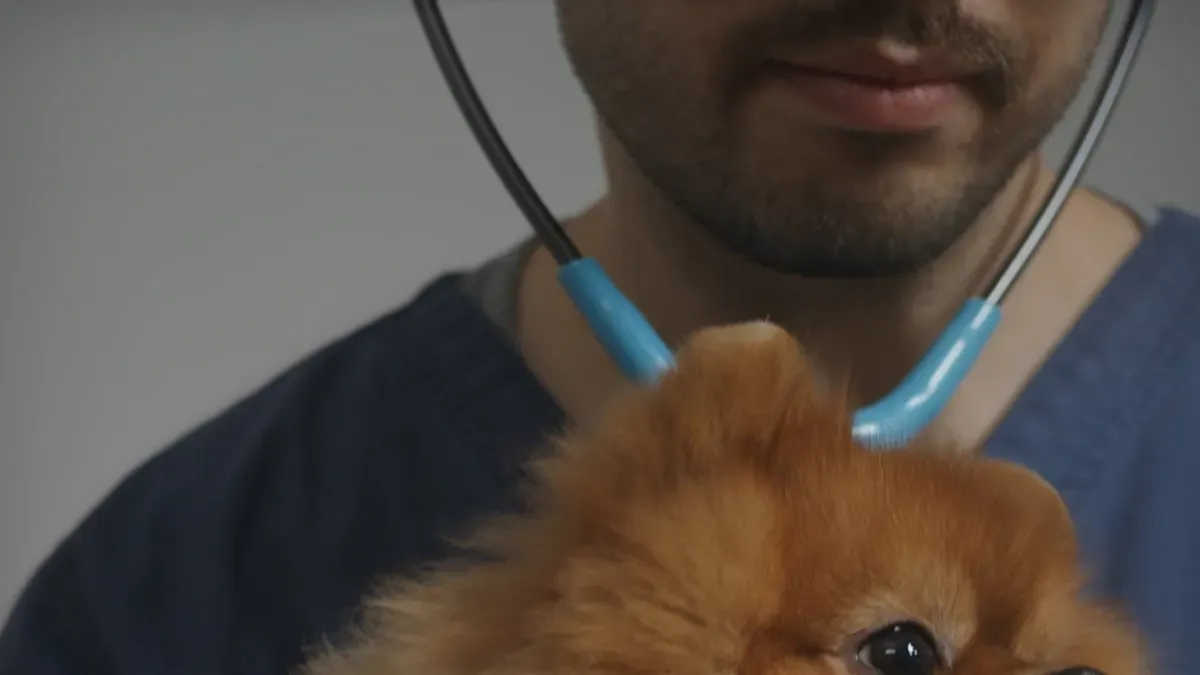 Types of Dog Lifting Harnesses