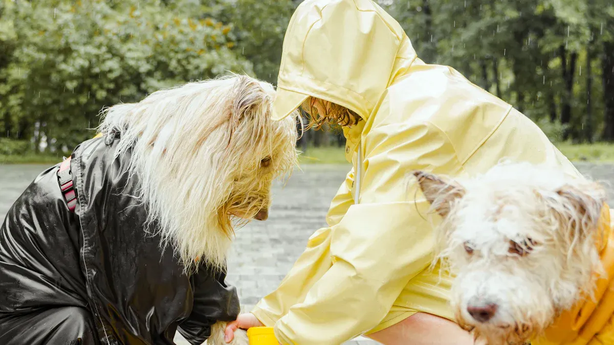 Matching gear to your dog’s needs