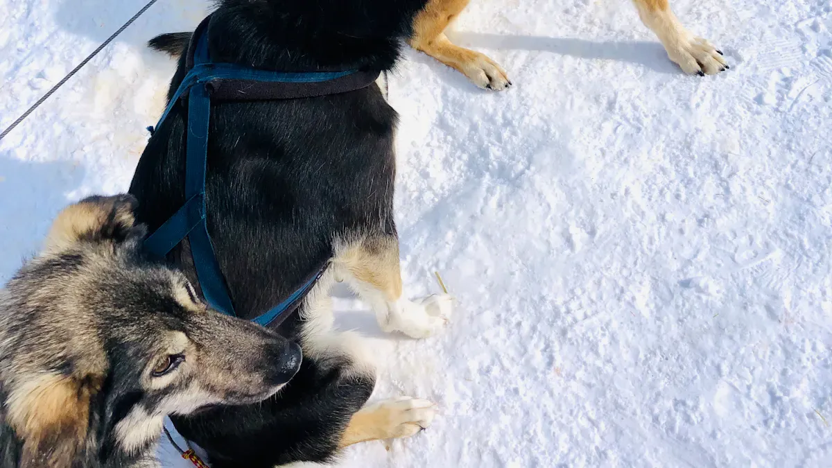 How Fit and Positioning Affect Performance