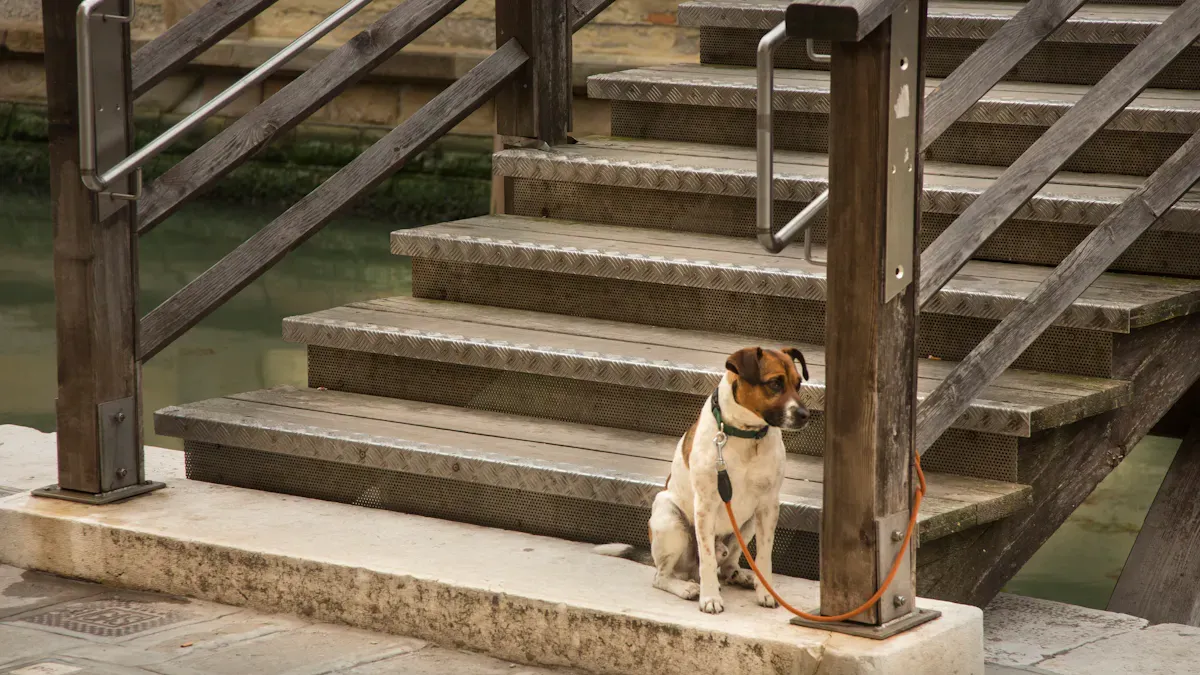 Mobility Support Tools and Solutions