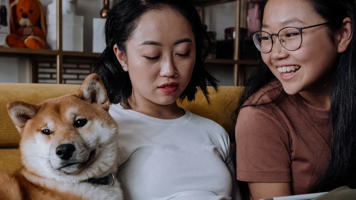 Benefits of Knee Brace for Dog