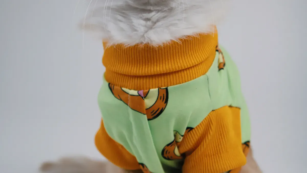 Comparing Top Dog Recovery Suits