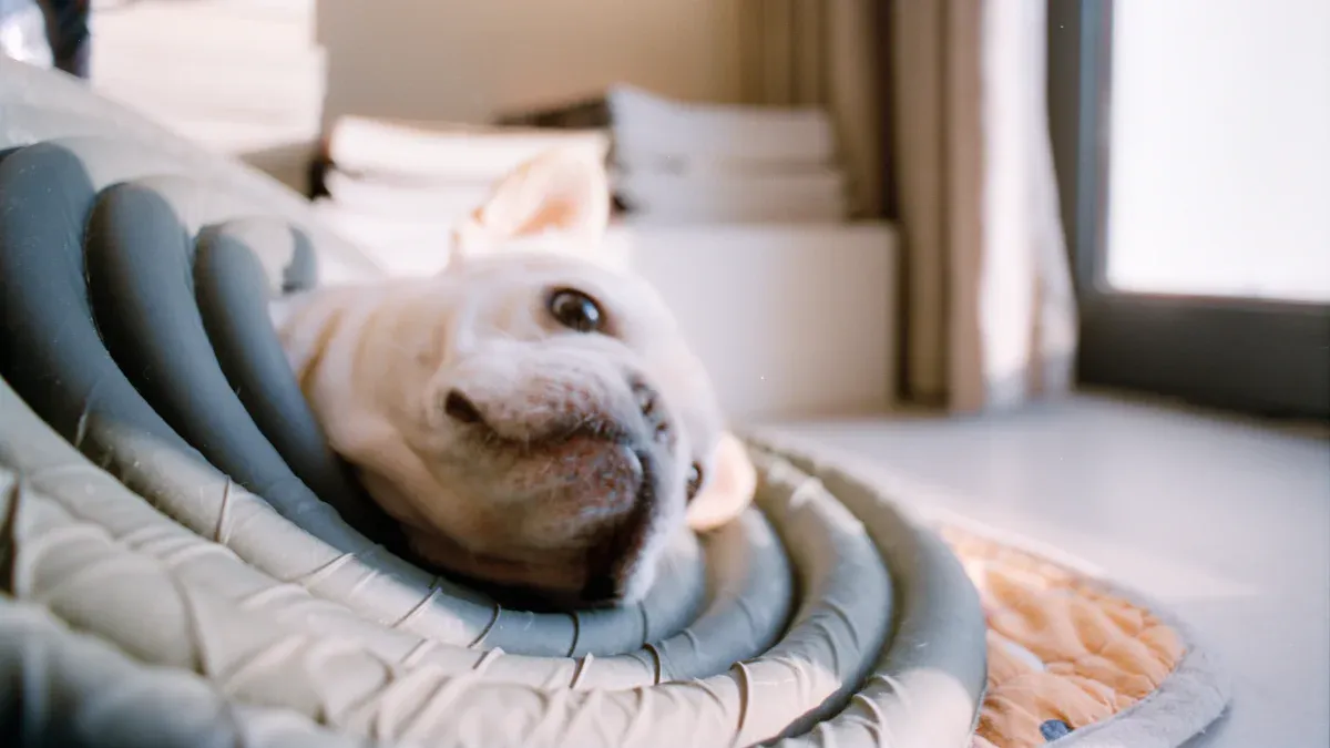 Types of Dog Recovery Sleeves