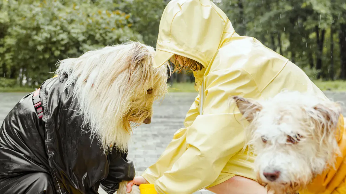 Dog Sleeve: Key Features to Consider