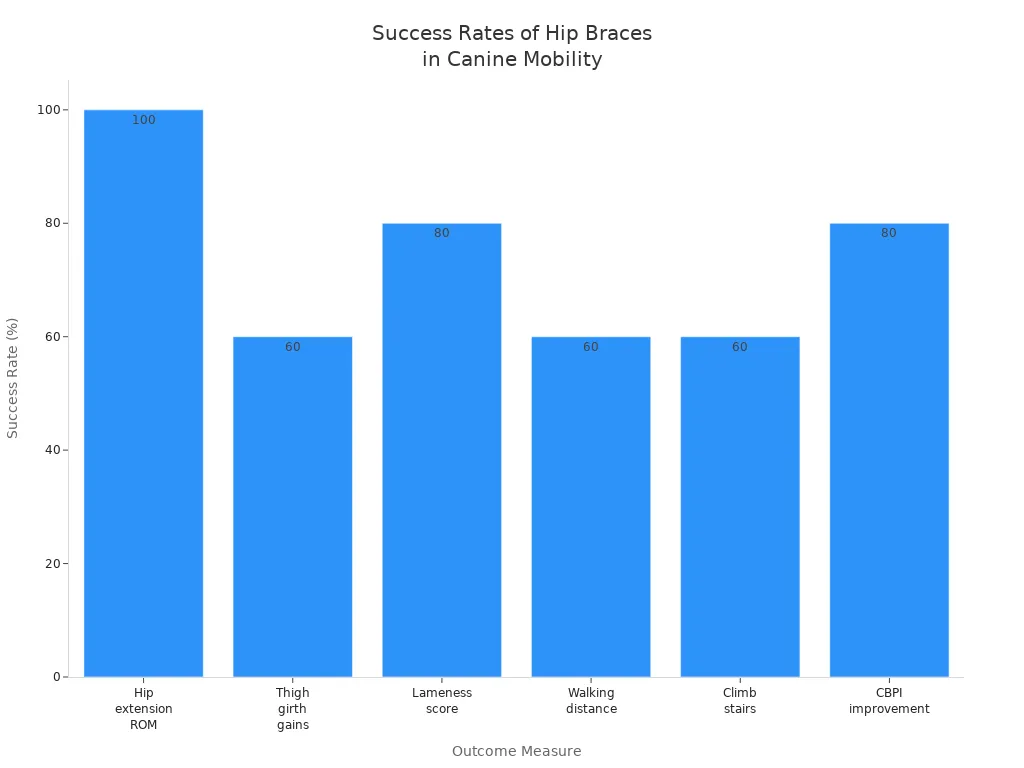 Bar chart comparing success rates of hip braces across six canine mobility outcome measures
