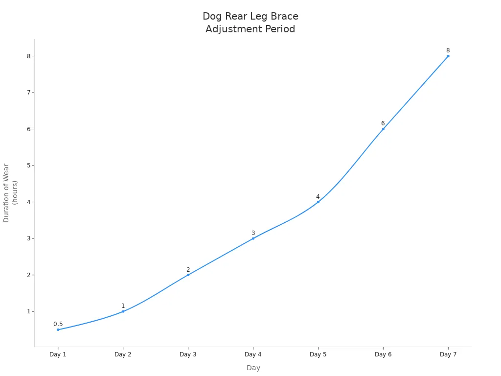 Line chart showing daily increase in dog rear leg brace wear duration