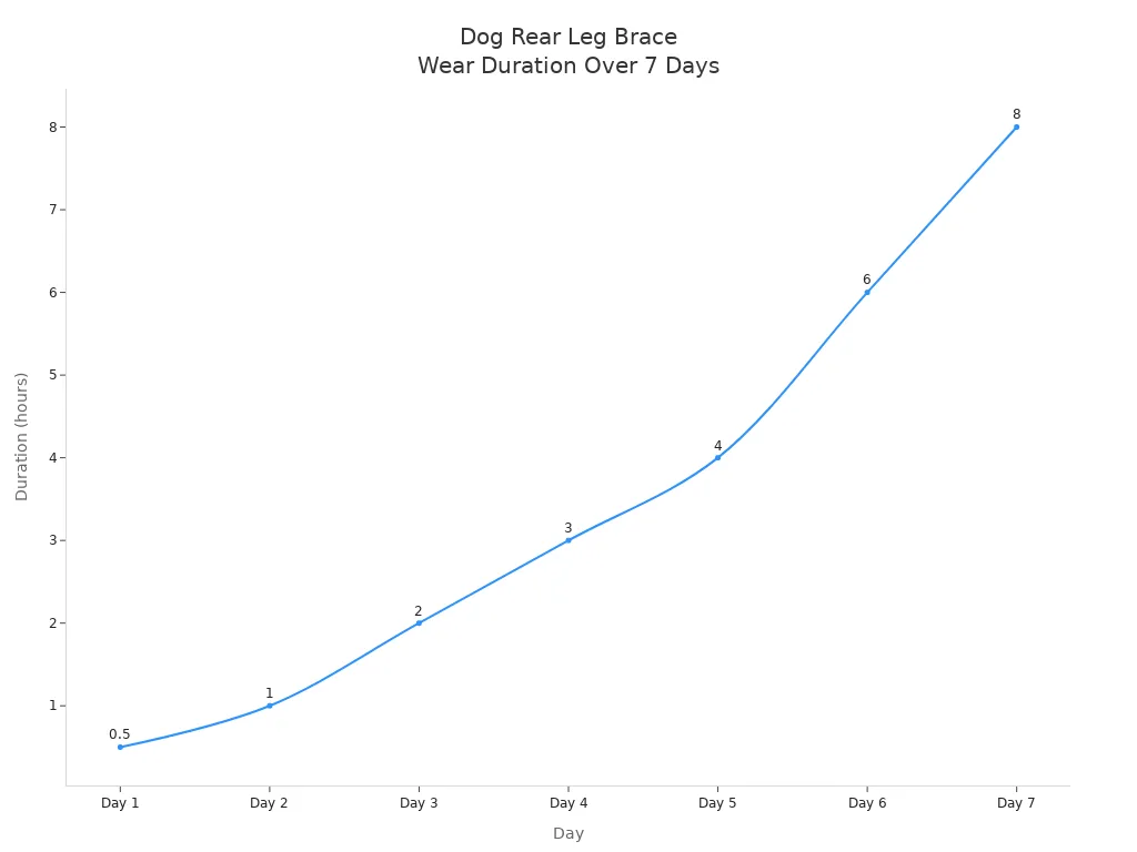 Line chart showing increasing daily duration of dog rear leg brace wear from 30 minutes to 8 hours over seven days