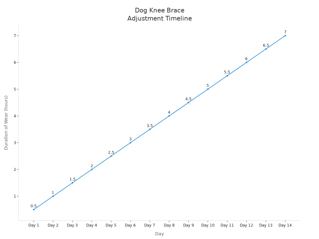 Line chart showing daily increase in hours a dog wears a knee brace over 14 days