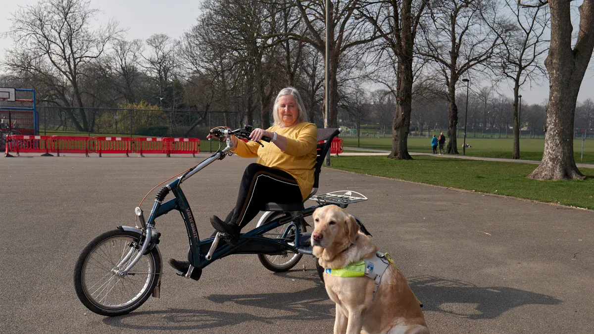 Types of Dog Knee Braces and Support Solutions