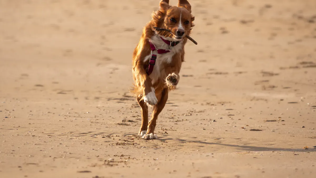 Mobility, Stability, and Expected Results