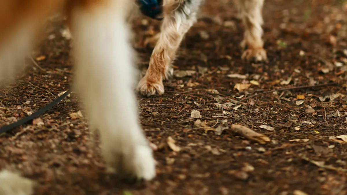 Main Types of Back Leg Recovery Sleeves