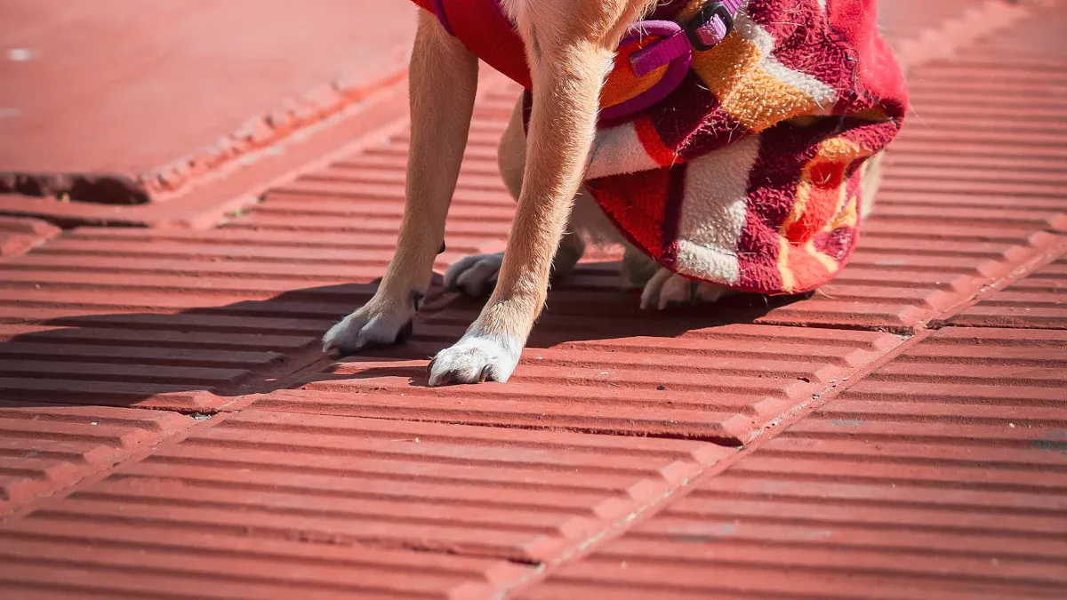 Fitting and Positioning