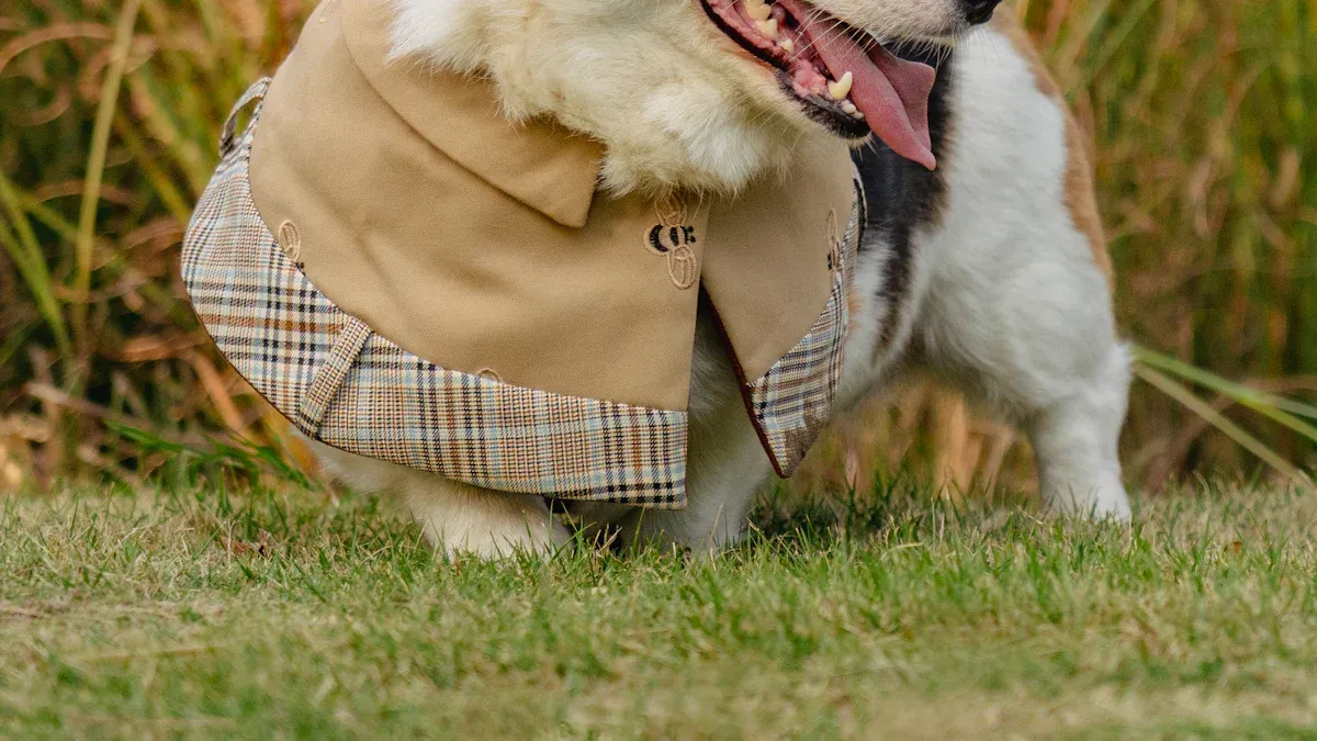 Types of Dog Knee Braces for Small Dogs