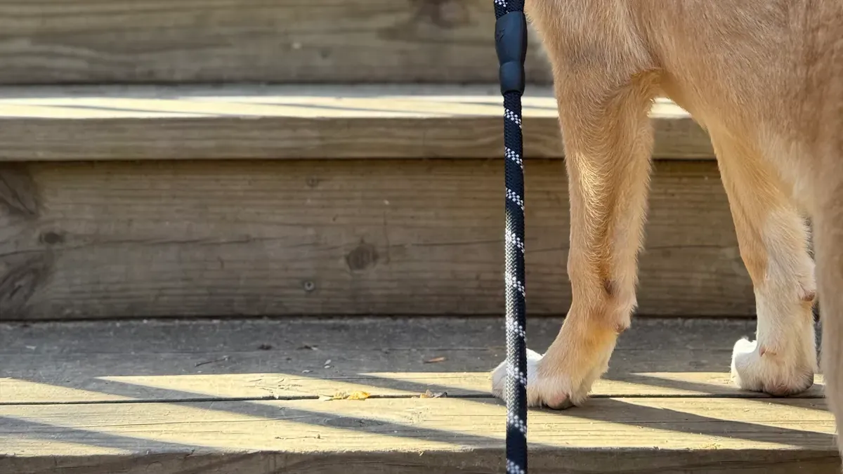 Practical Stair Navigation with Dog Lift Harness
