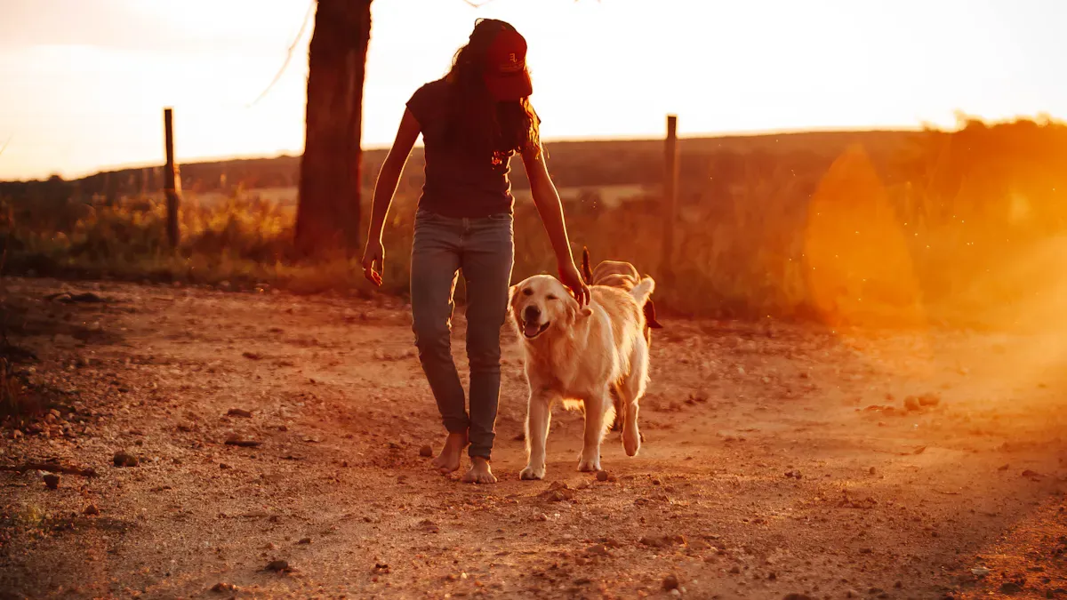 Practical Walking Tips and Common Mistakes