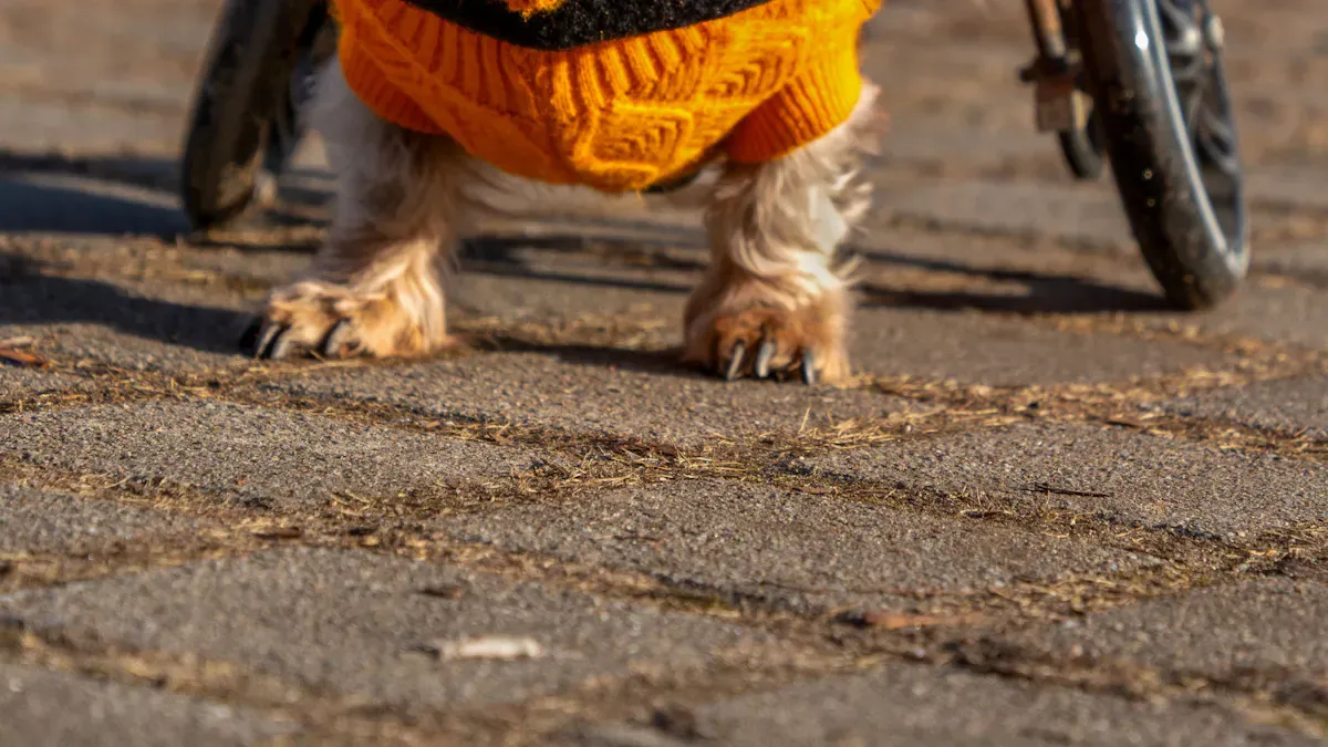 Reducing Slipping in Daily Use