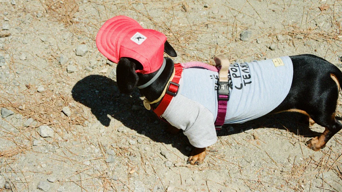 Lift Harness Overview