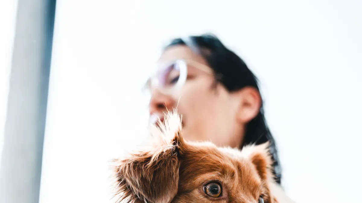 Support During Recovery and Daily Use