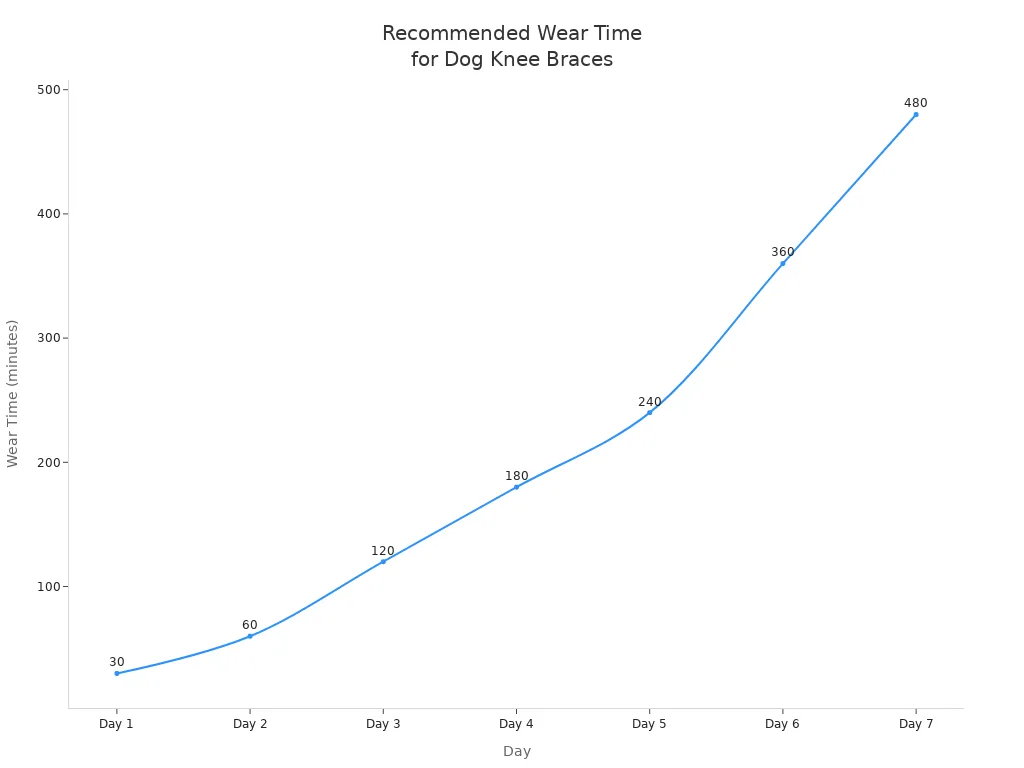 Line chart showing increasing recommended wear time for orthopedic dog knee braces over seven days.