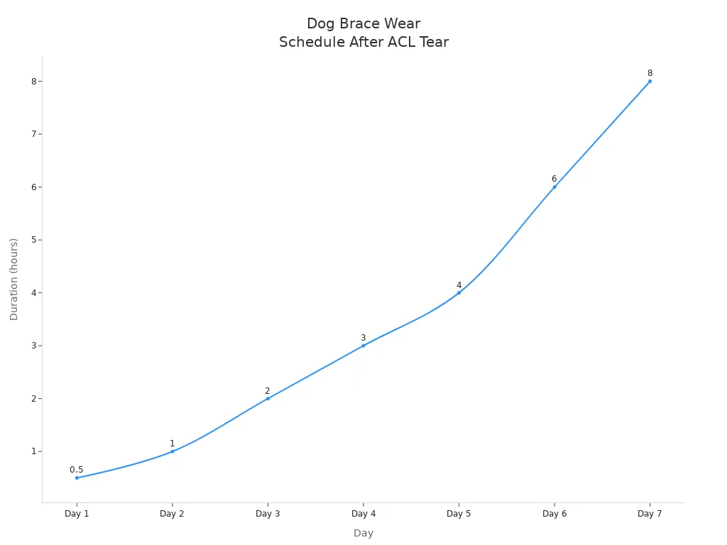 Line chart showing increasing daily brace wear duration for dogs after ACL tear