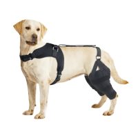 Hind Leg Knee Brace
