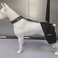 Hip Dysplasia Brace for Dobermans